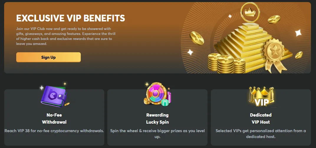 CCN.com screenshot of BC.Game VIP Program